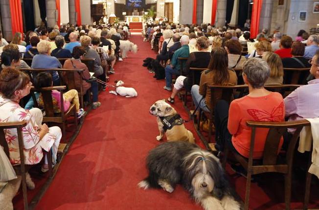 People attends with their dogs a mass dedicated to animals at the Saint-Pierre-d'Arene's church on October 6, 2013 in Nice, southeastern France.  AFP PHOTO / VALERY HACHE