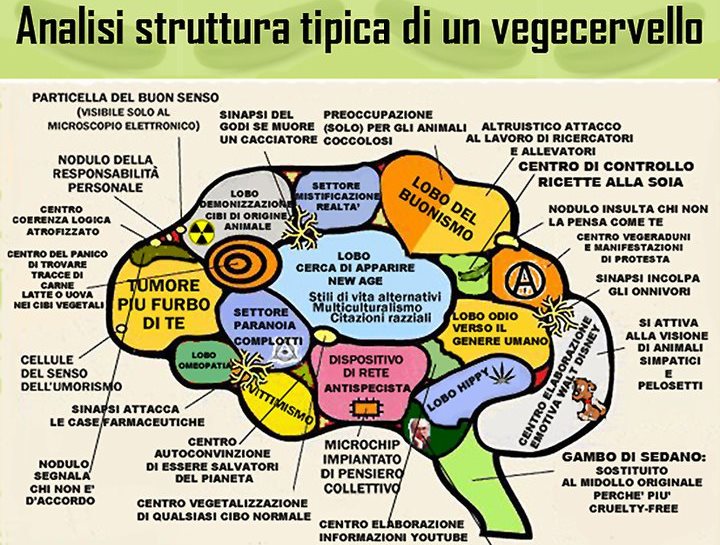 1 Cervello_vegano